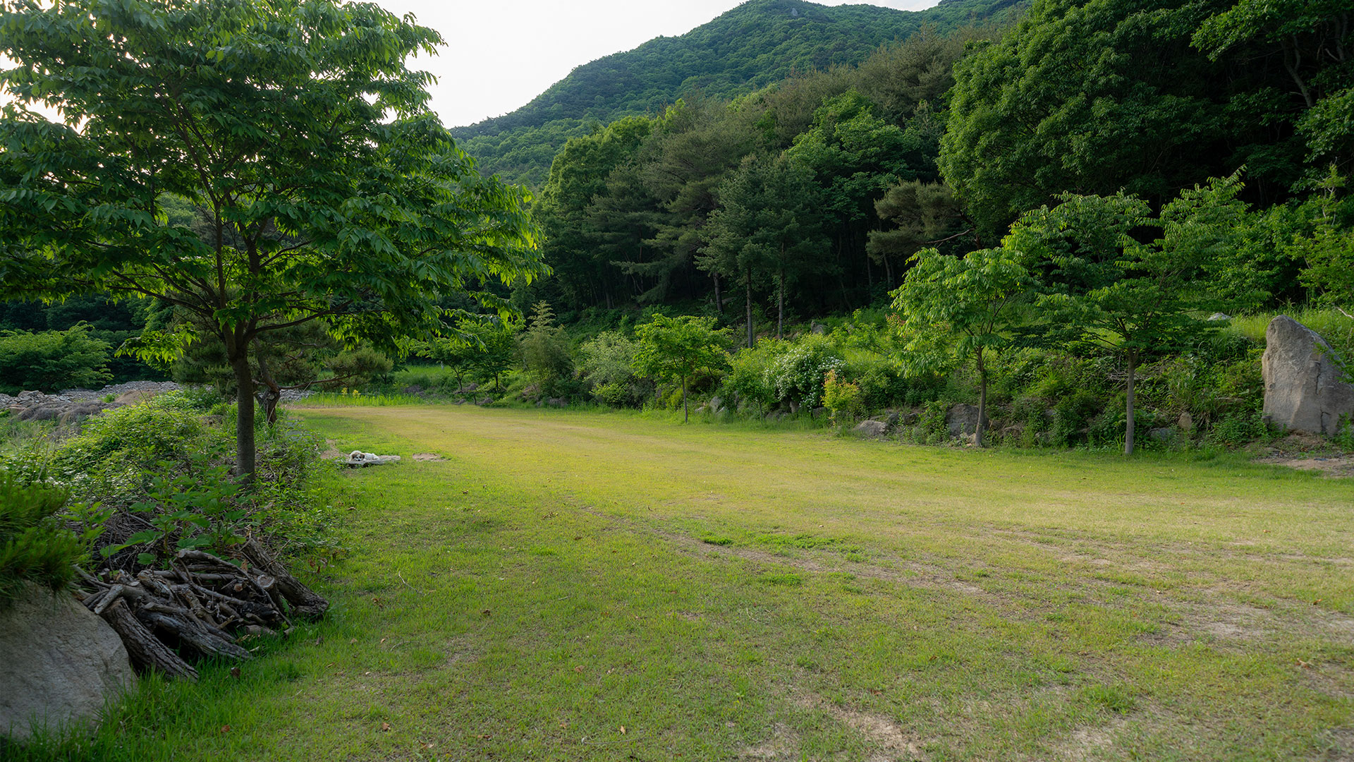 슬라이드 이미지12